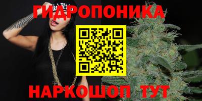 стафф Кинель