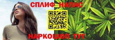 стафф Кинель
