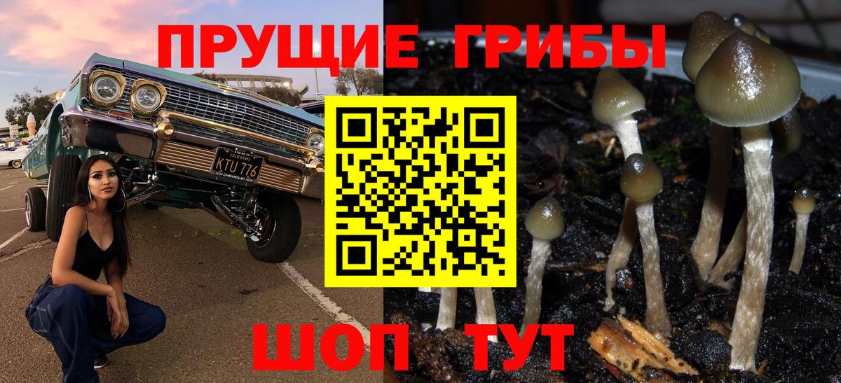 Галлюциногенные грибы прущие грибы  Вход с VPN  Учалы 